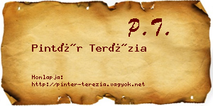 Pintér Terézia névjegykártya